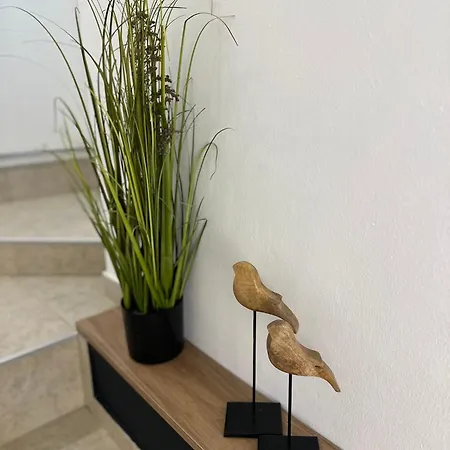 Apartman With Terrace - Center *