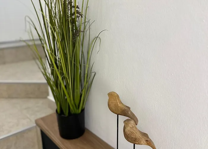 Apartamento With Terrace - Center *